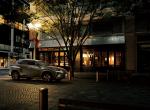 Lexus NX300 Bronze Edition 2020 года (JP)